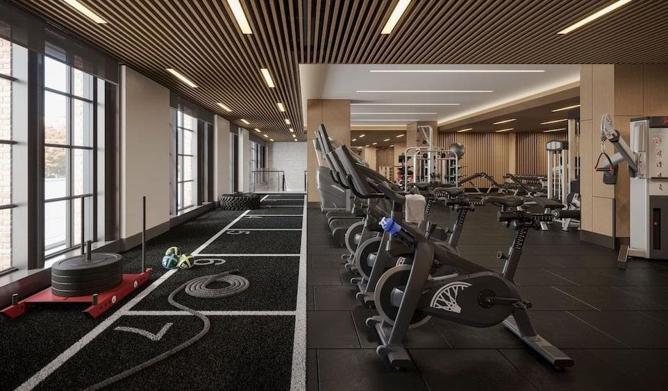 Gymnasium